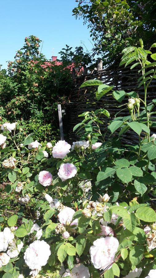 Soergardens Logi Bed and Breakfast Härnösand Εξωτερικό φωτογραφία